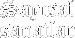 sayisal.jpg (13601 bytes)